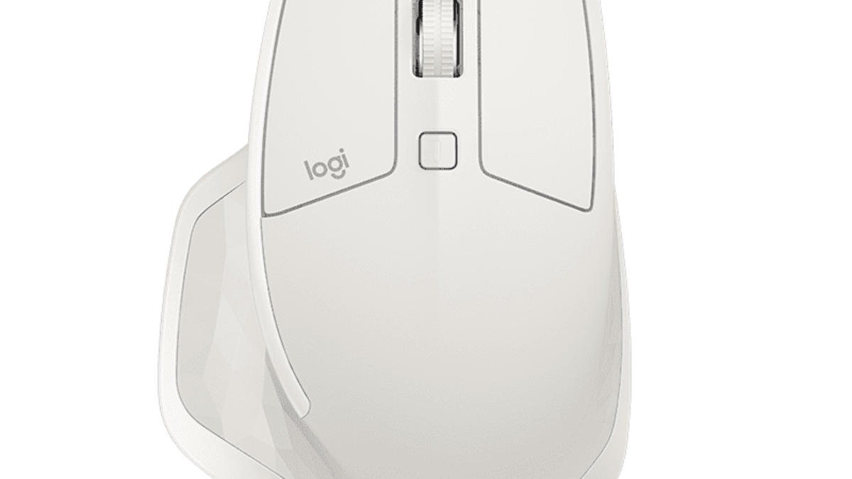 Logitech MX Master 2S Wireless Mouse souris Droitier RF (910-005141)